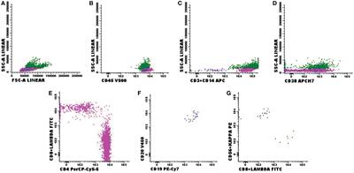 Detection of Central Nervous System Infiltration by Myeloid and Lymphoid Hematologic Neoplasms Using Flow Cytometry Analysis: Diagnostic Accuracy Study